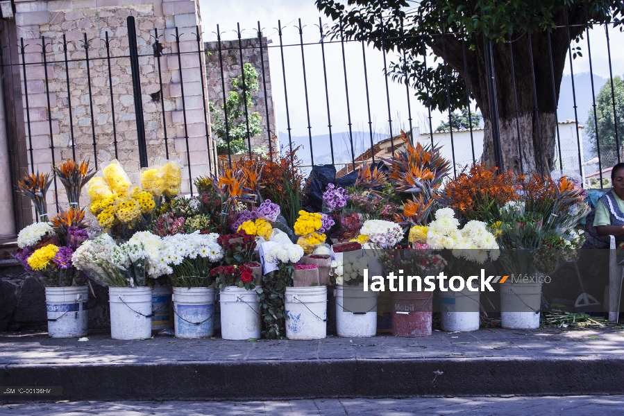 puesto flores, flores
