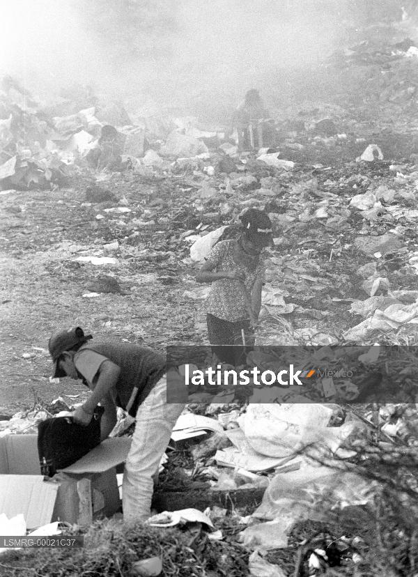Basura