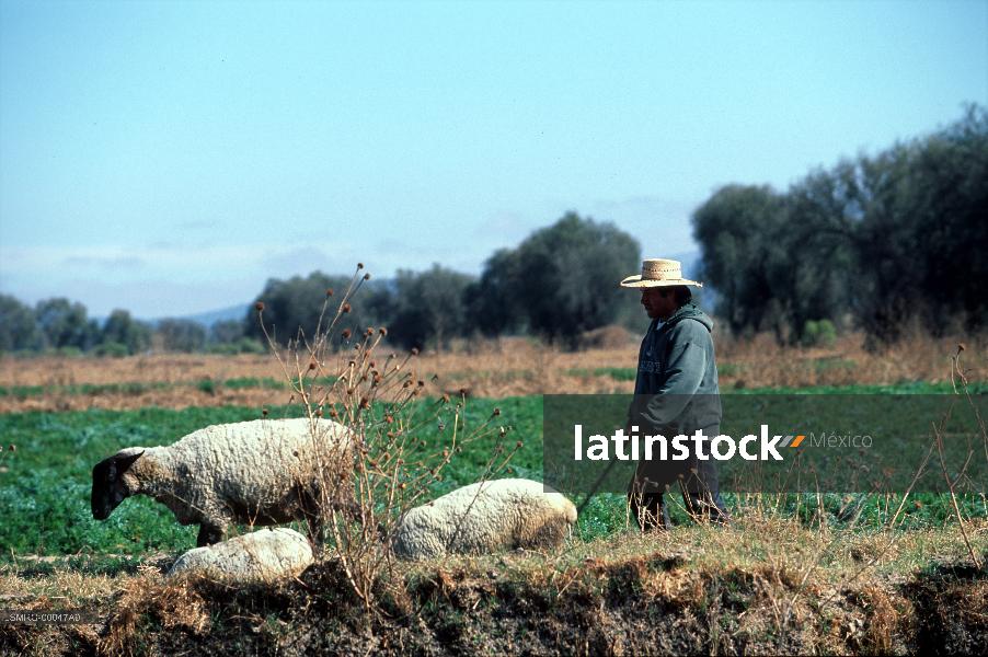 Campesinos