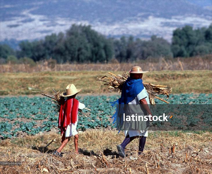 Campesinos