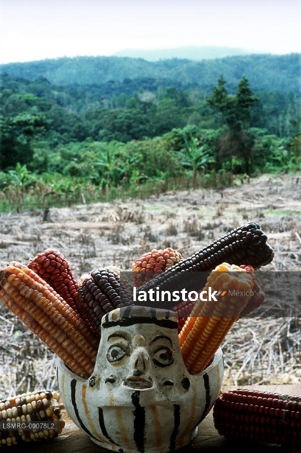 Lacandones