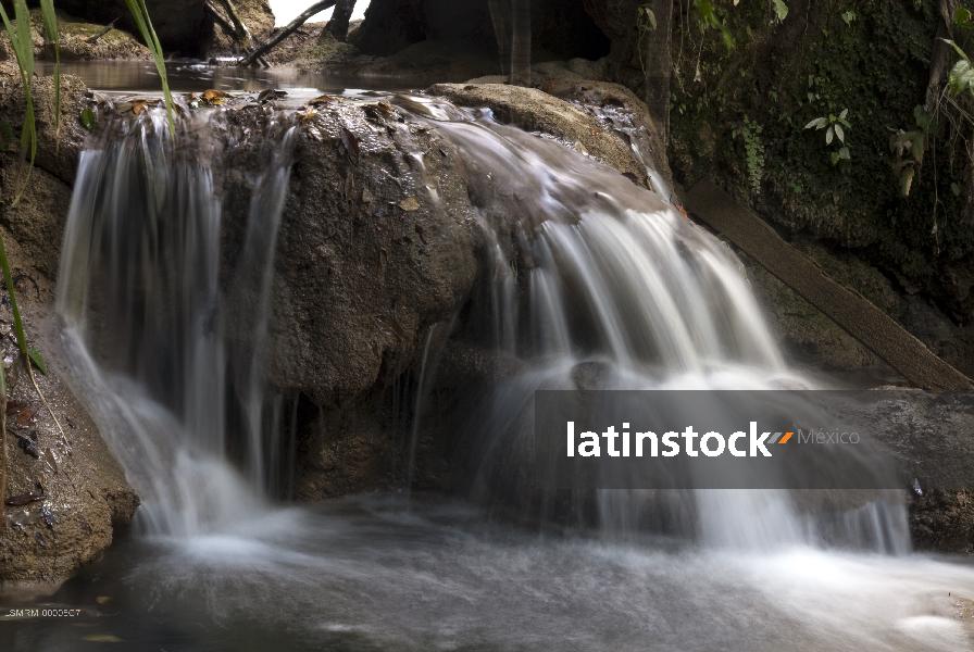 Chiapas